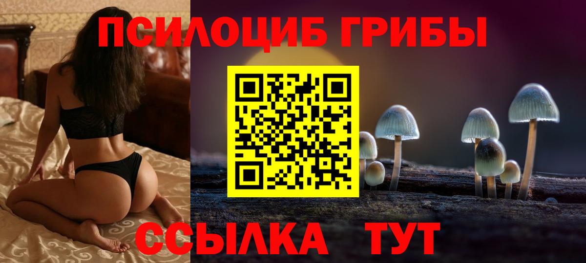 продажа наркотиков  Вход с VPN  Коряжма  Галлюциногенные грибы Cubensis 